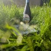 171 - Garden Evening