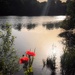 Early walk