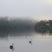 Foggy start to the day