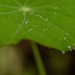 surface tension