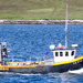 Kiama LK835