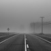 Into the fog