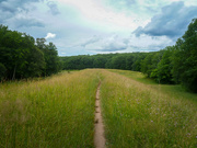 26th Jun 2026 - Dramatic skies over the bike trail.