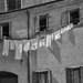 windows and washing