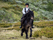 27th Jun 2026 - The girl on the horse