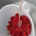 strigging the first redcurrants