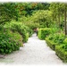 Garden Path,Alnwick Gardens