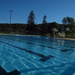 swimming time