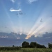 Scattered sunlight