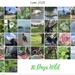 30 Days Wild 2026