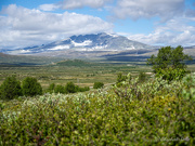 28th Jun 2026 - Snøhetta
