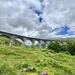 Glenfinnan bridge. 