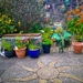 Test shot with my new toy.........