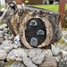 Hearts on a fairy house. 