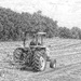 Raking