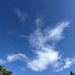 What do you see?