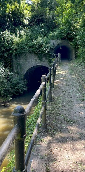 Shrewley Tunnel by pattyblue