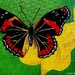 Butterfly on flower (acrylic painting)