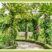 A Pretty Pergola,Alnwick Gardens