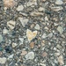 Pavement Heart (with a face!)