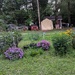 Flower Garden