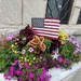 Stars, Stripes & Summer Blooms