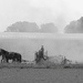 Kicking Up The Dust