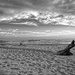 Olivia Beach Lincoln City