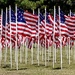 America, America