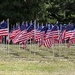 250 Flag Display of the Flags of America over the Years