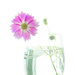 Cosmos 1