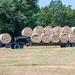 Lots of hay...