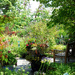 Friend's Garden