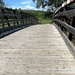 Bridge Walk