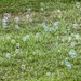 Bubbles of light, radiant and bright.