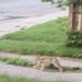 He Spotted Me!