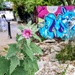 Markfield Community Garden 
