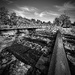 On The Rail