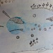 Watercolour Doodles: Day 4