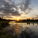Balsam Marsh Sunrise