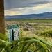 Thunder on the Prairie