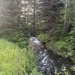 Mountain Creek