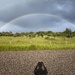 When it rains, look for rainbows 