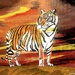 Tiger at sunrise (acrylic painting)