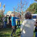 Pruning Lesson