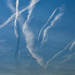 Look up