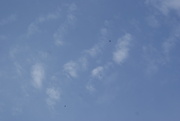 27th Jun 2026 - 1000025071
