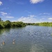 Welsh Harp
