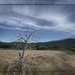Old Apple