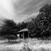 Oldest in the area